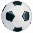 Pelotas de Futbol